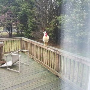 Meet your Posher, Kyle